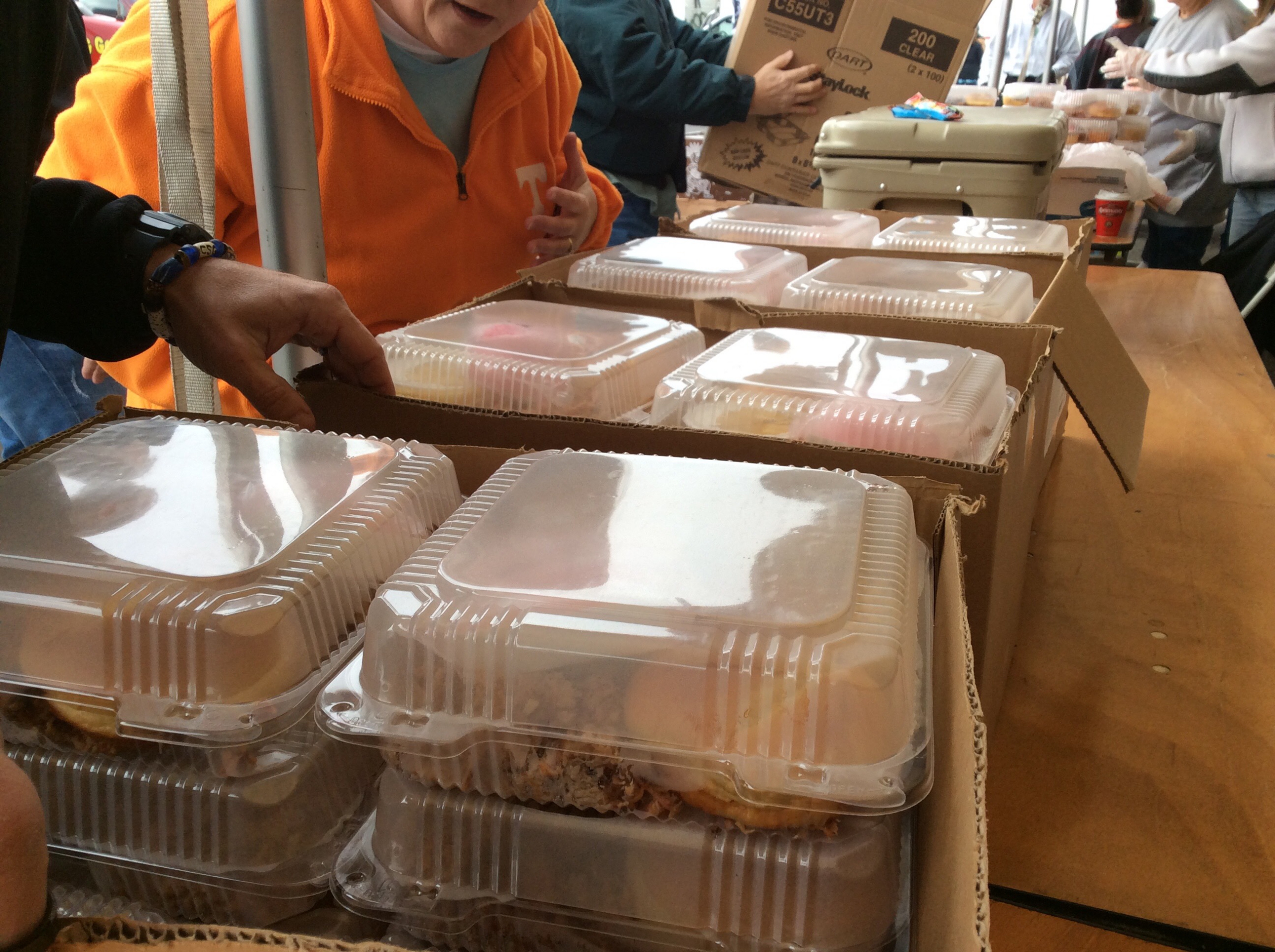 Gatlinburg, Tennessee (Fire) / 13,400 Meals Over 3 Days